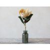 KVET MAGNÓLIE 74 CM CHIC ANTIQUE (39090315)