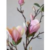 KVET MAGNÓLIE 87 CM CHIC ANTIQUE (39090507)