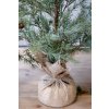 DEKORATÍVNY STROMČEK BOROVICE 90CM CHIC ANTIQUE (39116421)