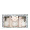 coffret boules de noel parfumees rubans de fete musc irise