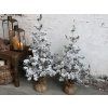 VIANOČNÝ STROMČEK 80CM CHIC ANTIQUE (39048900)